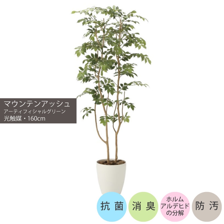 マウンテンアッシュ1.6m｜GLPA-043 アーティフィシャルグリーン 人工