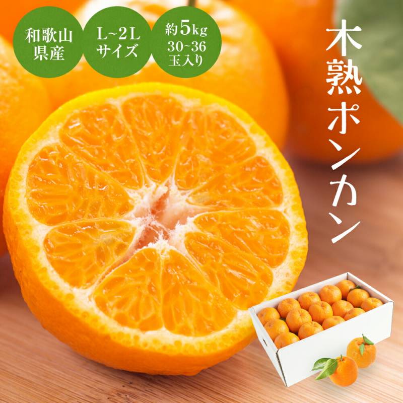 ご予約完成　梨果ポン様 ポンカン約1.4kg-贈答用 | のま果樹園