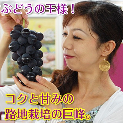 油絵　（葡萄）ぶどう　ブドウ　巨峰　シリーズ3 kago_1_5kg_2016_2.jpg