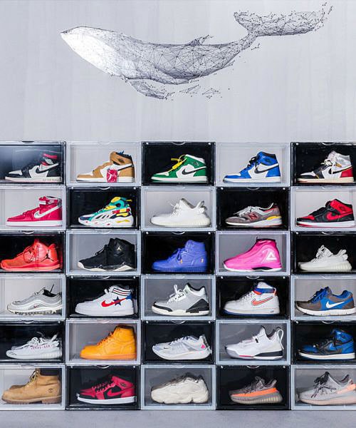 スニーカーをインテリアに！ ビーシーエル・シューズケース （横向き