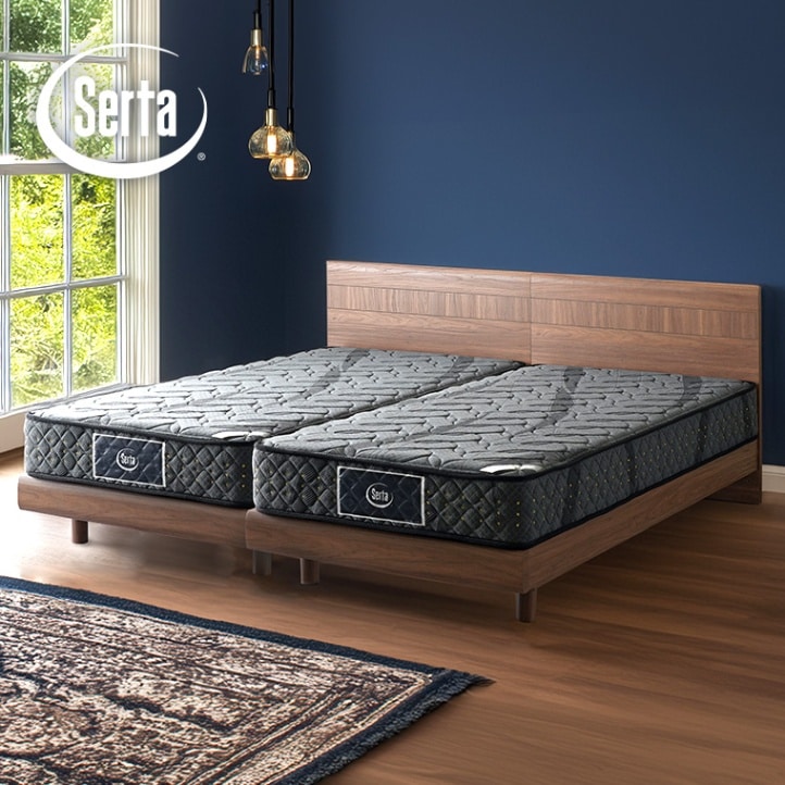 PS＋SDサイズ2台セット】アリウム2231 フラットタイプ アリウム121