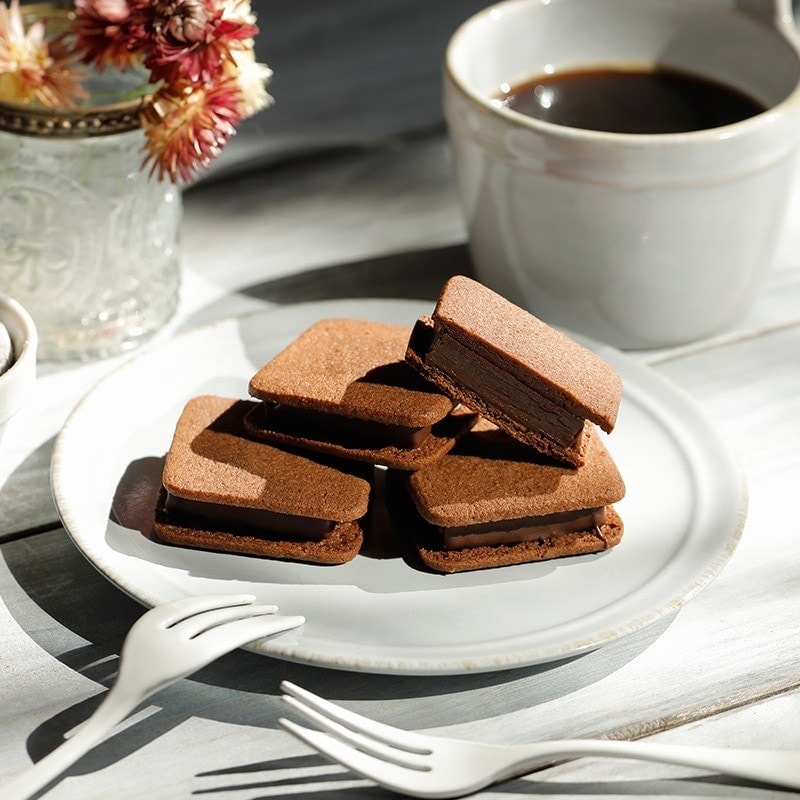 個箱5個 ショーコラ単品 マイルドカカオ VANILLABEANS公式オンライン