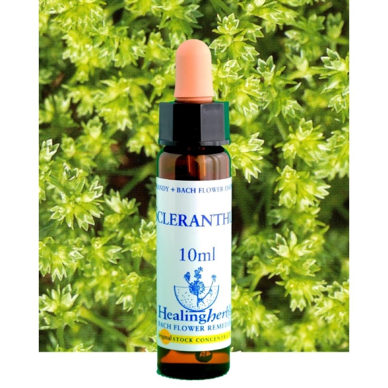 フラワーエッセンス 07 スクレランサス [ヒーリングハーブス] | カリス