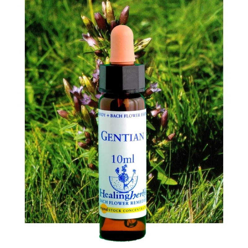 たろう様1760+1660×8=15040ヒーリングハーブス社フラワーエッセンス