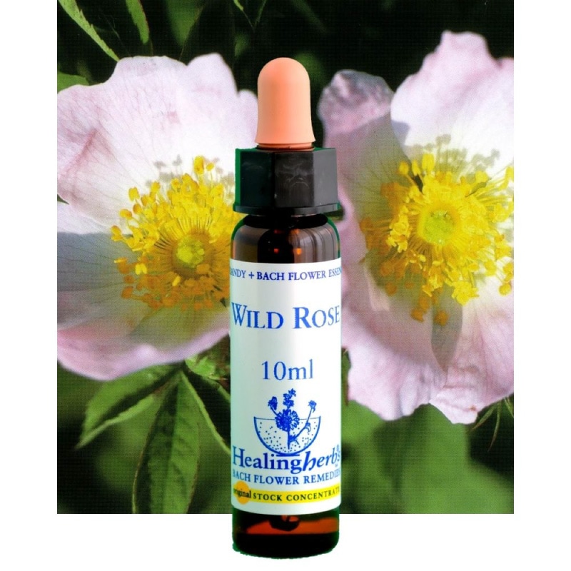 まりりん♪1740+1640×6=11580□ヒーリングハーブス社フラワー まりりん