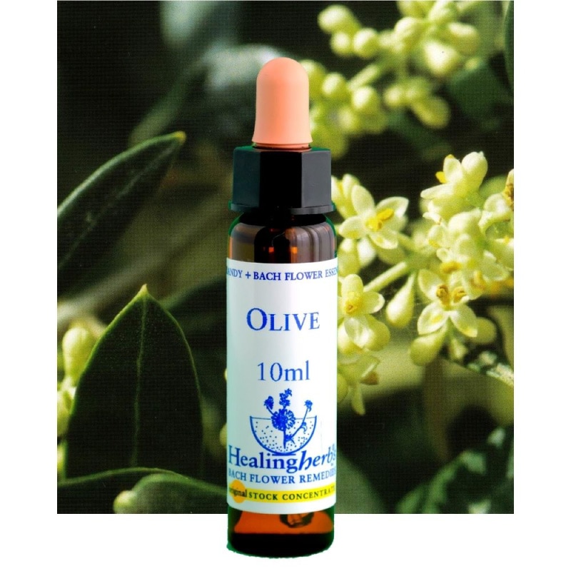 フラワーエッセンス 08 ゲンチアナ [ヒーリングハーブス] | カリス成城