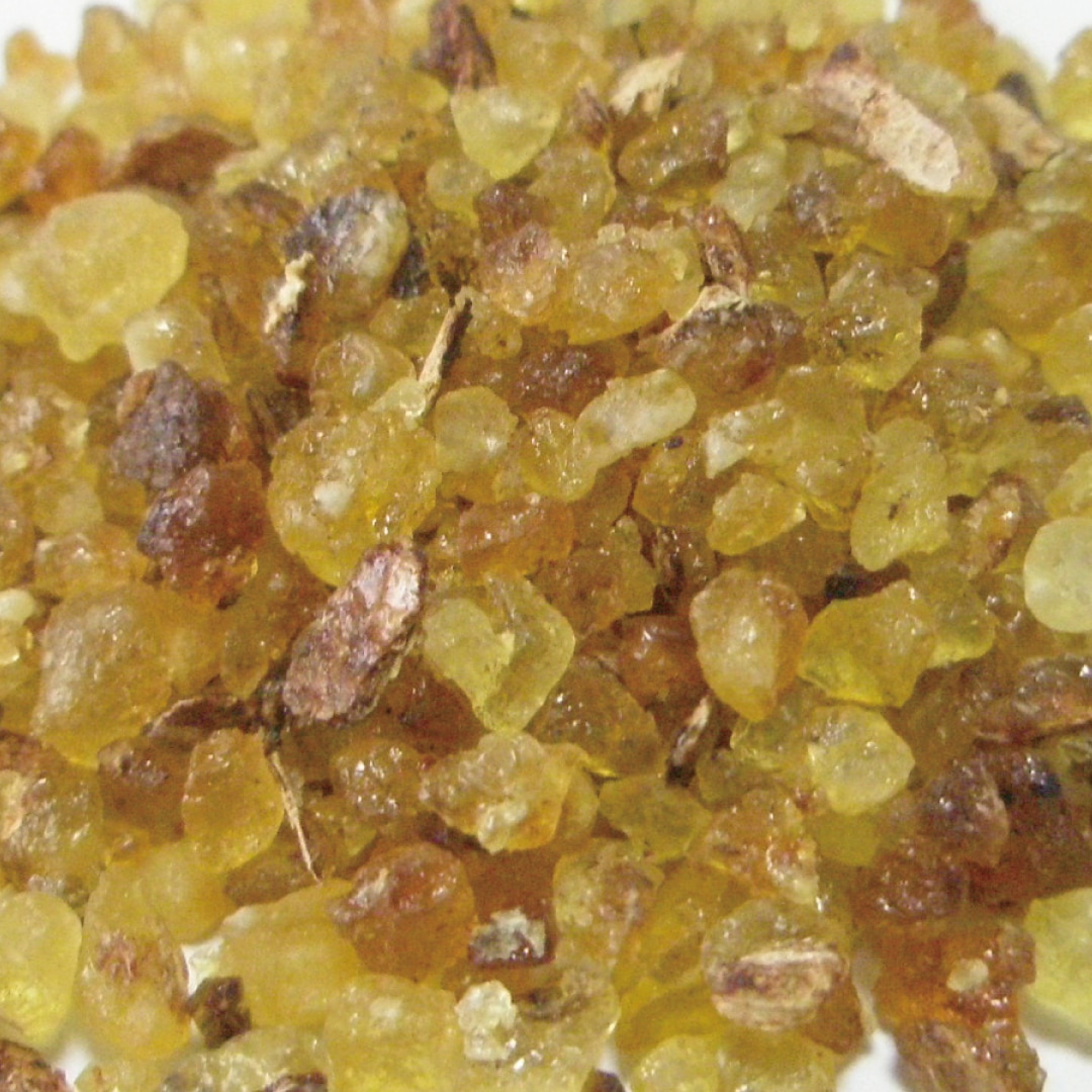 オリバナーム/フランキンセンス/乳香 500g | カリス成城 WEB SHOP