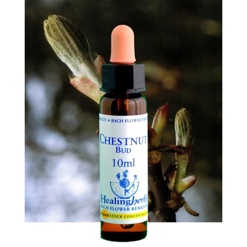 フラワーエッセンス 18 チェストナットバット [ヒーリングハーブス