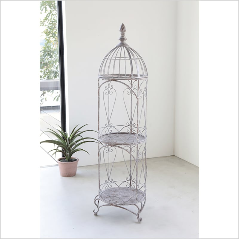 1_000000001151.jpg?1738418220