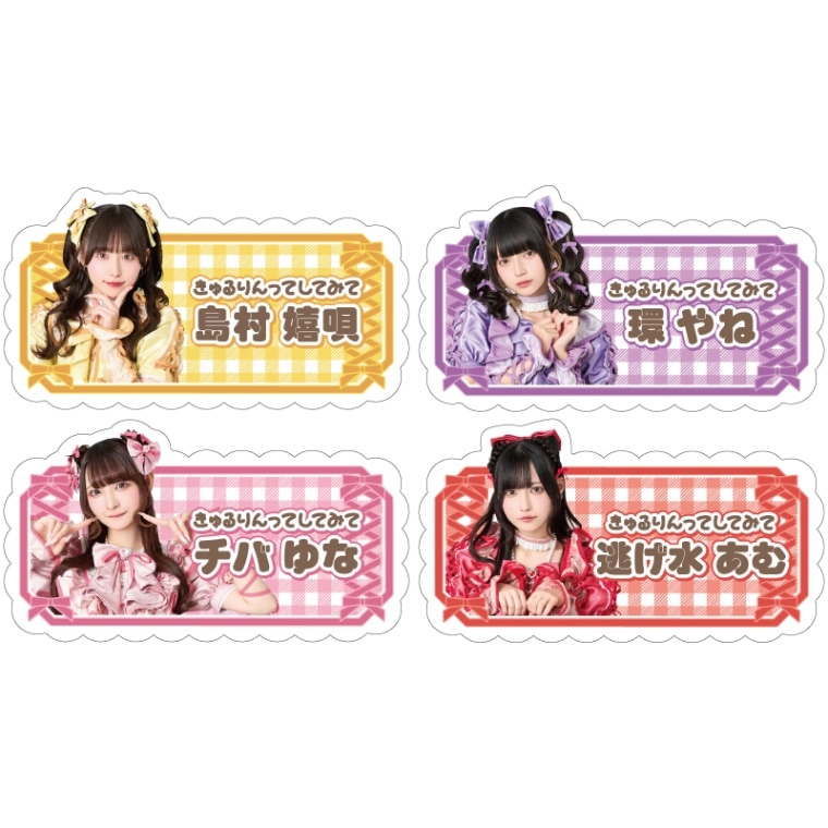 Kyururin Sensation～白銀の野音編～」アクリルお名前バッジ - DSPM