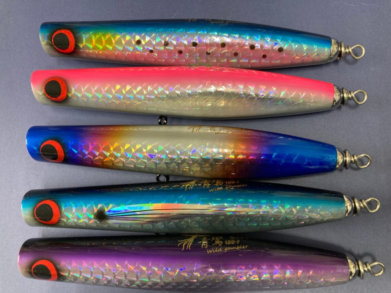 ワイルドギャンブラー 青鸞(セイラン) 180F カタクチホロ | オフショア