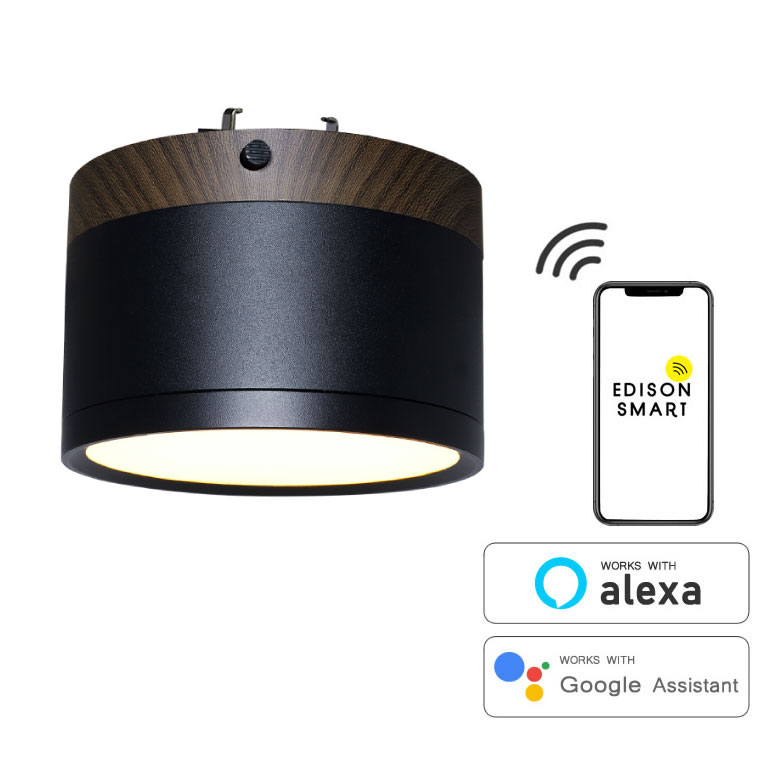 エジソンスマートミニシーリングライト ウッド調 引掛けシーリング用