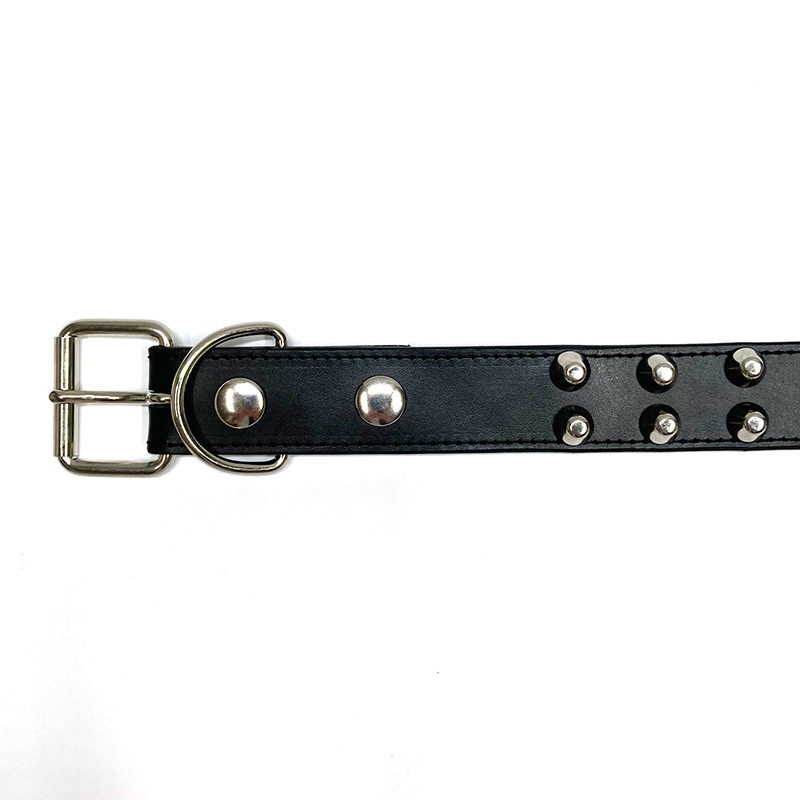 6_000000009207.jpg?1712223646