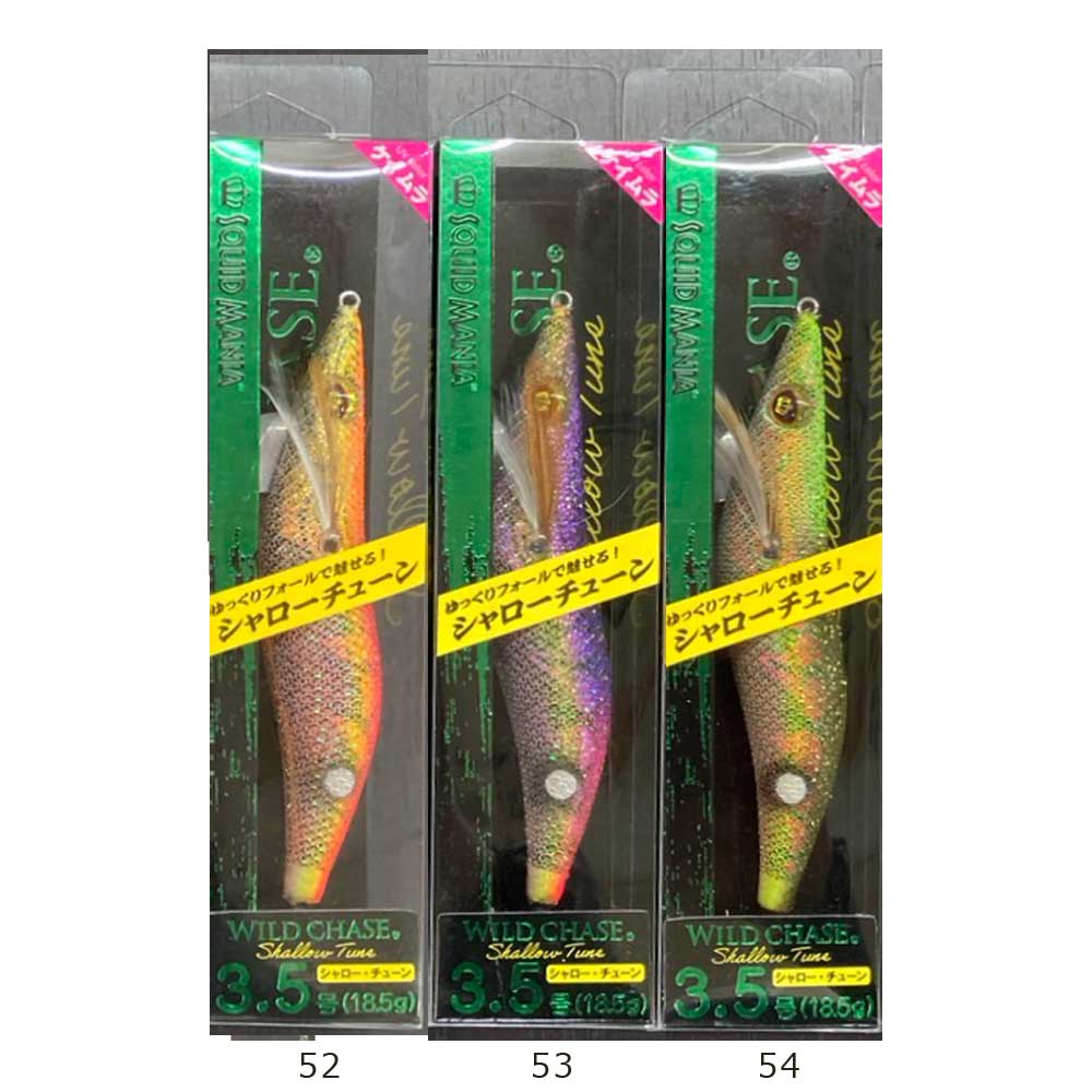 ケース付き スクイッドマニア 3.5号 人気カラーセット Amazon.co.jp