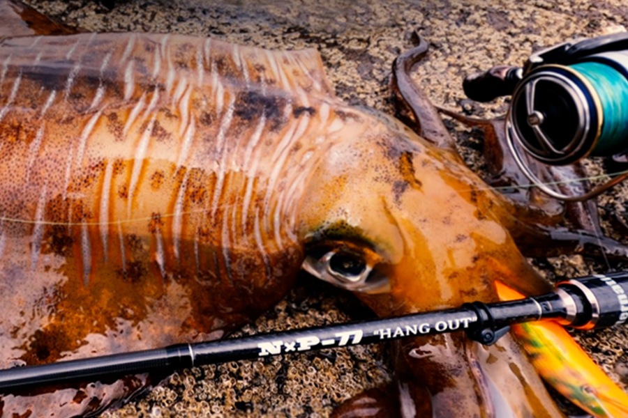 クロノ ハングアウト 77 CRONO N×P-77 HANG OUT 4580760970059_5.jpg