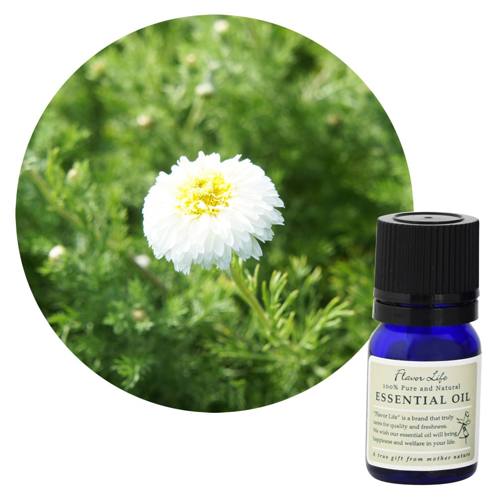 フレーバーライフ】カモマイル・ローマン｜エッセンシャルオイル（精油