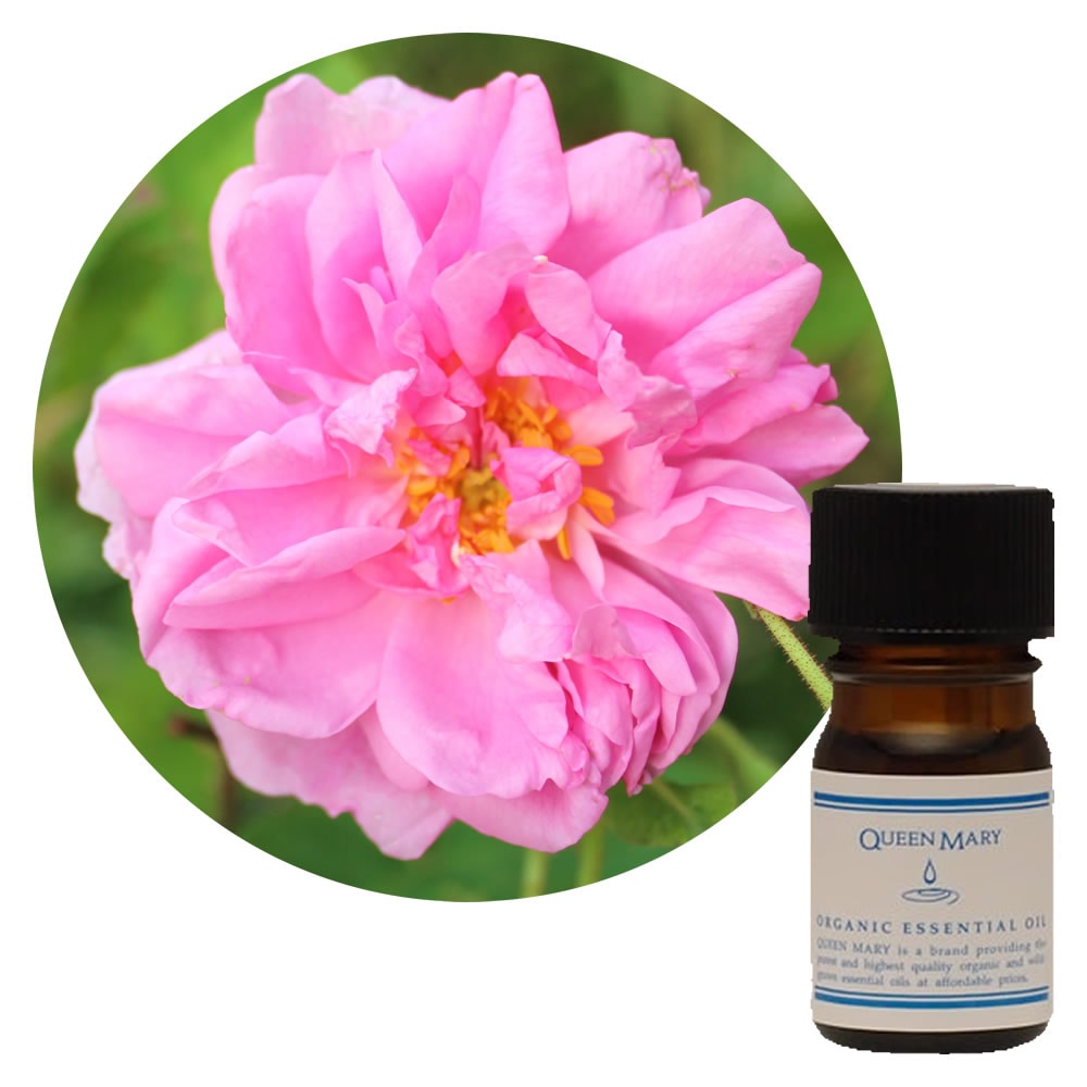 クイーンメリー】ローズオットー｜エッセンシャルオイル（精油・アロマ