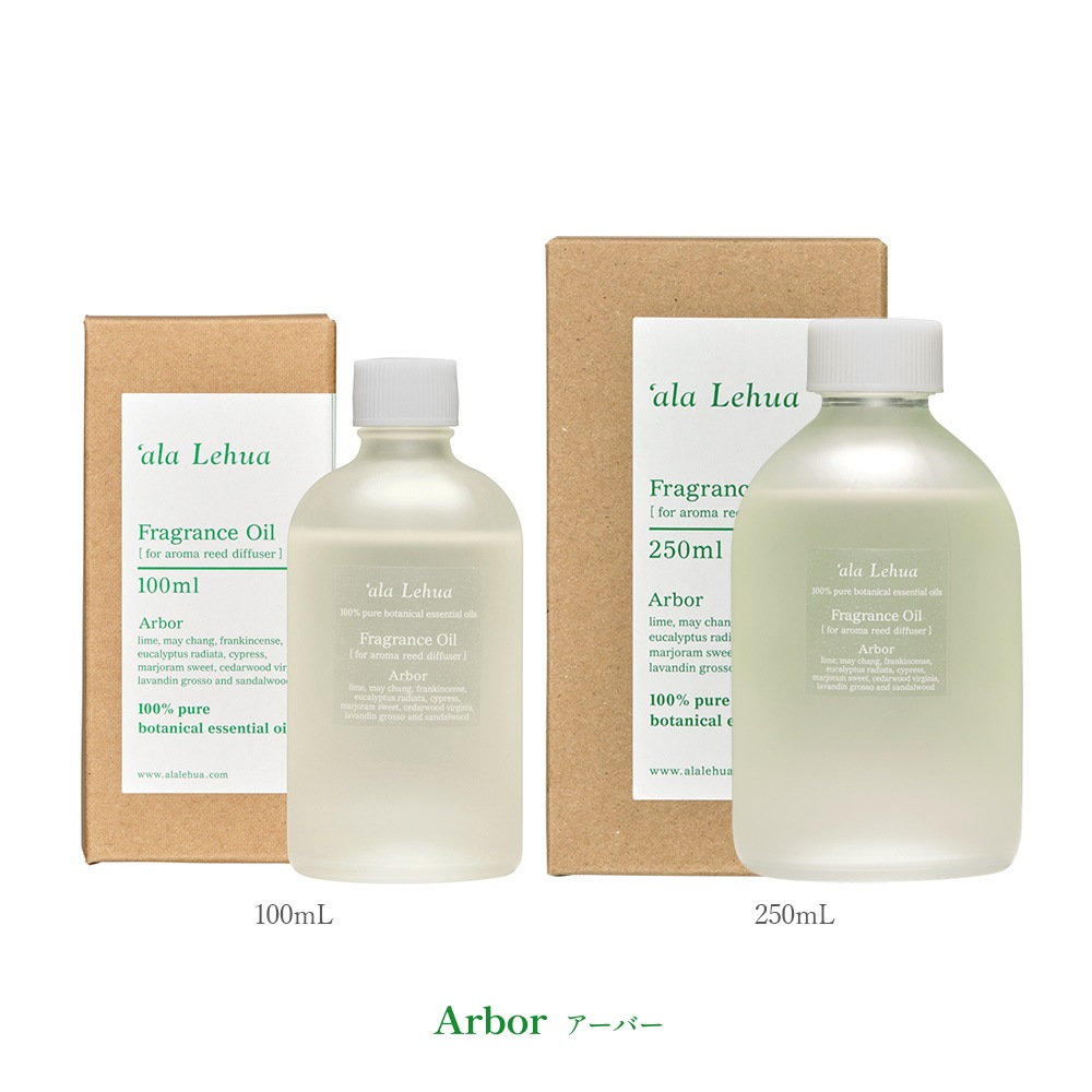 8_000000000421.jpg?1722383987