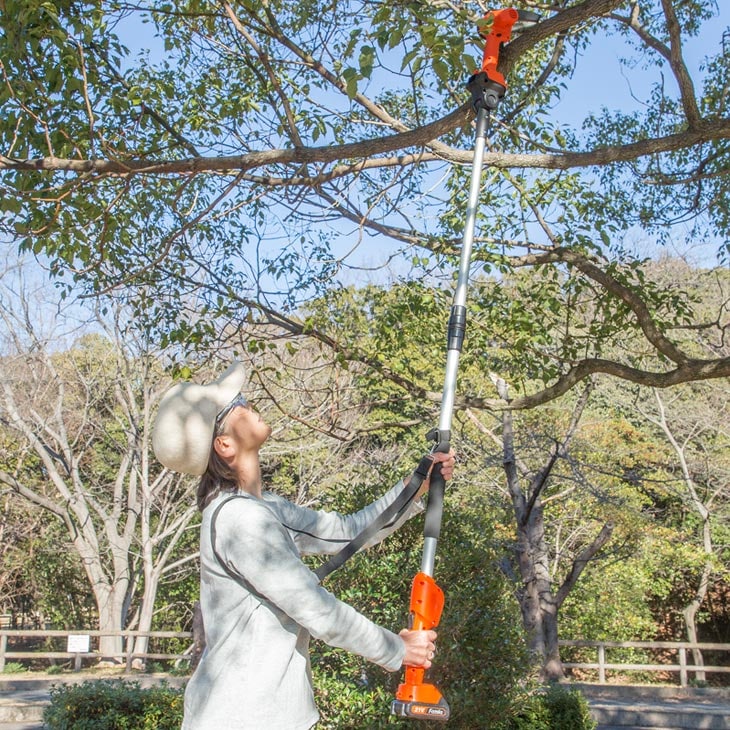 ファミラ NEW充電式コードレス2WAY高枝チェーンソー8点セット