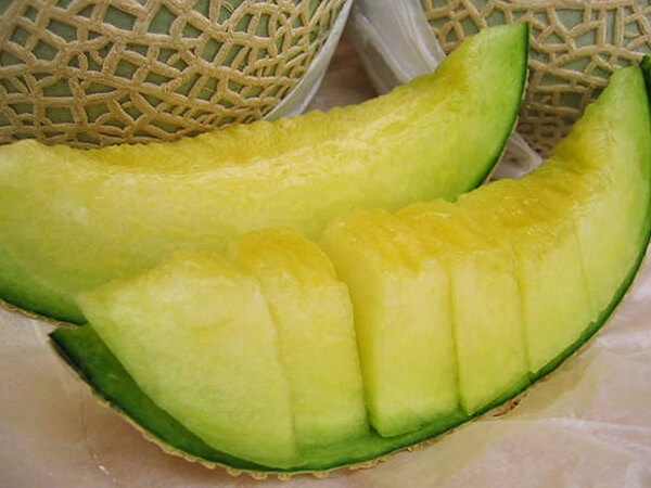 エメラルドマスクメロン 2玉 | 四季 All seasons,マスクメロン