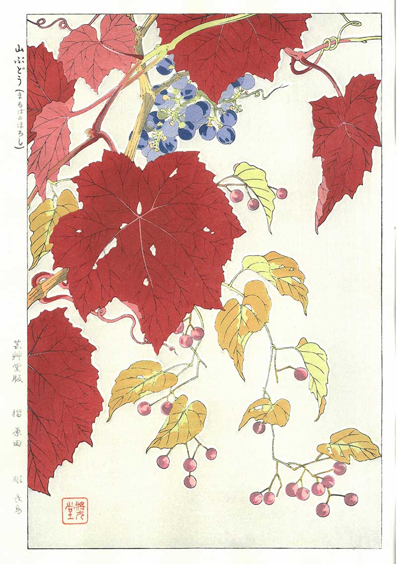 木版画のことなら『木版画 版元 芸艸堂 Woodblock print』