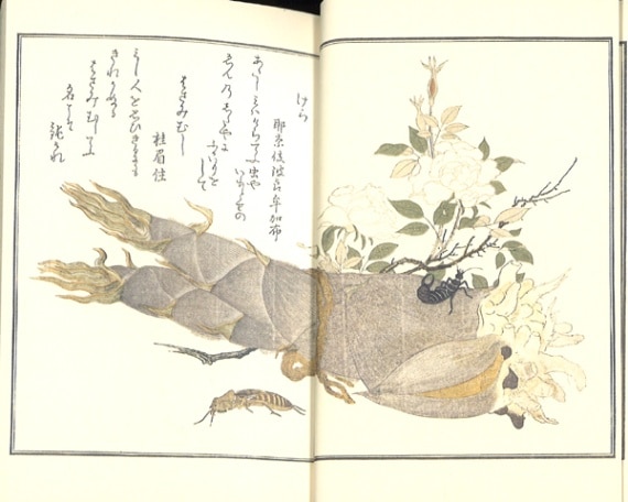 木版画のことなら『木版画 版元 芸艸堂 Woodblock print』