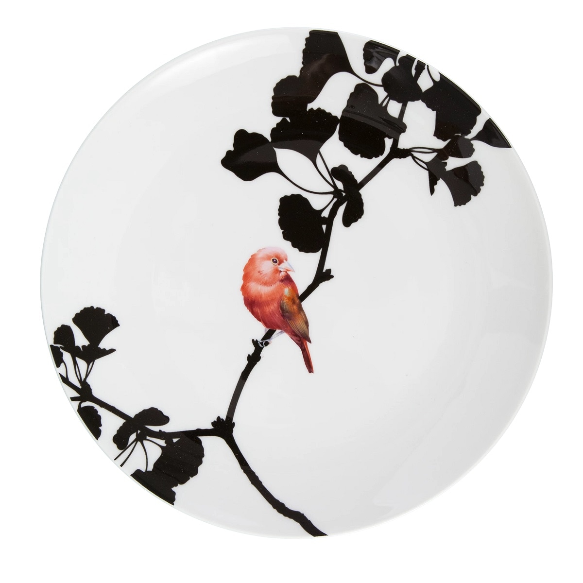 マイセン ナツフウキンチョウ 飾皿 54M49/61A126 | 飾皿 | ドイツの名