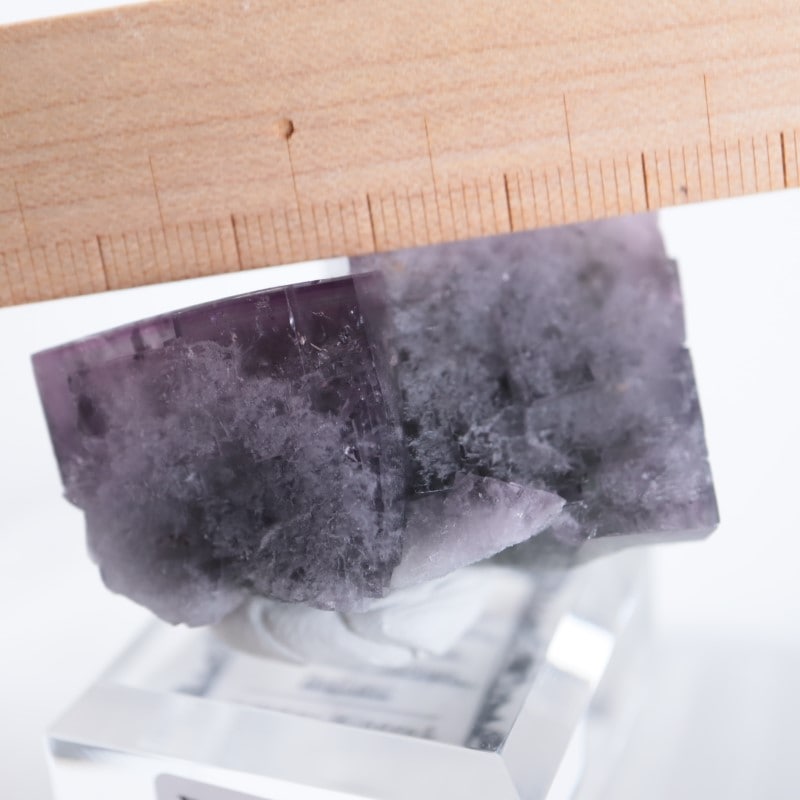 フローライトペタル シークレット 2枚 フローライトペタル