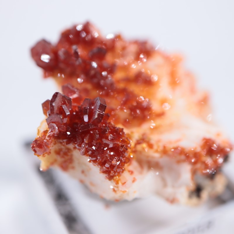 モロッコ産 バナディナイト | 鉱物標本,ハ行,バナディナイト/バナジン