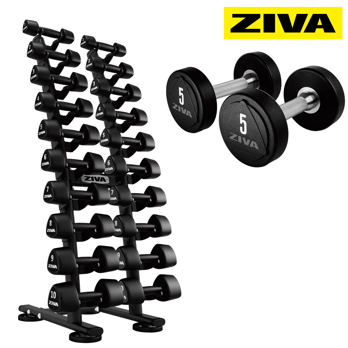 ZVO ウレタンダンベル1-10kg＋ST 1-10kgスタジオダンベルラック