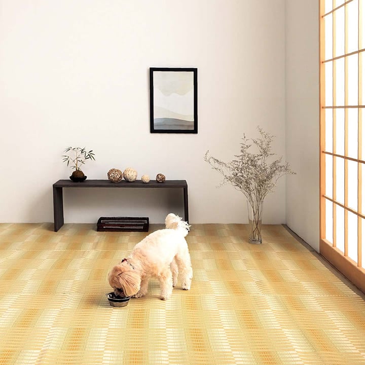 PP（ポリプロピレン） ラグ・カーペットの通販｜イケヒコ公式通販