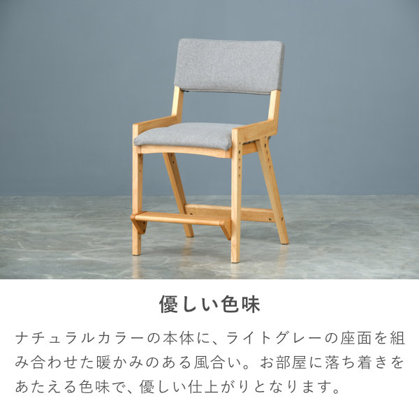 ISSEIKI SOLANA-2 DESK CHAIR (RW-NA-69SGY) | 【公式オンライン