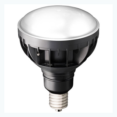 LDR30N-H-E39/B850 || LEDioc LEDアイランプ 岩崎電気(IWASAKI) バラ