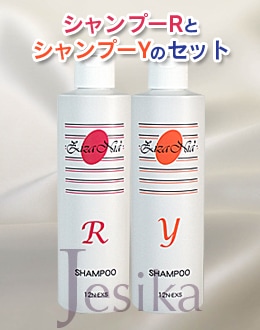 ジザニア シャンプーR・シャンプーYのセット｜天然成分無添加 ノンシリコン