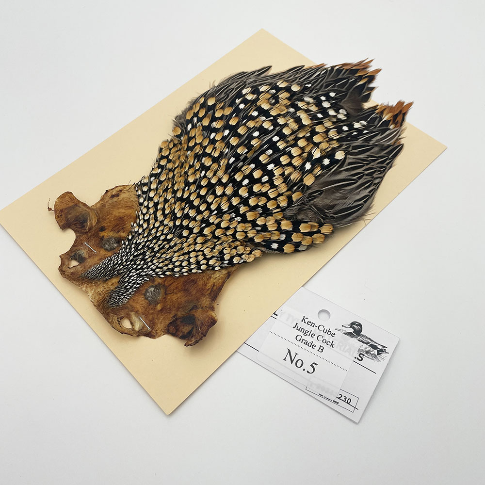 入手困難なジャングルコックです。 これは、すばらしくウエットから