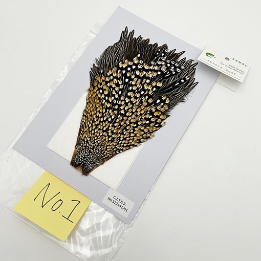 ジャングルコック