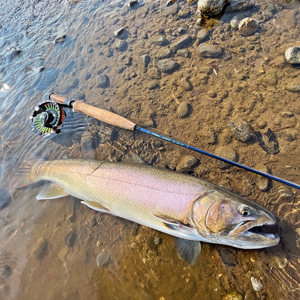 SONAR #1 （10ft 6inch） ＋SONAR EX 強化バットパーツセット (ソナー