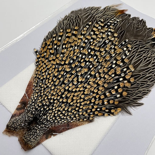 16_000000001599.jpg?1717840731