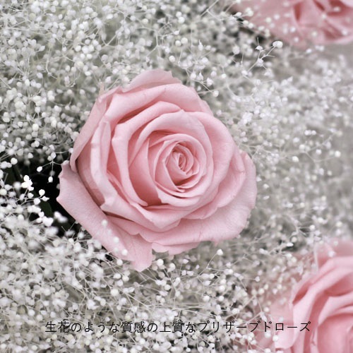 プリザーブドフラワー ピンクローズ10本とかすみ草の花束