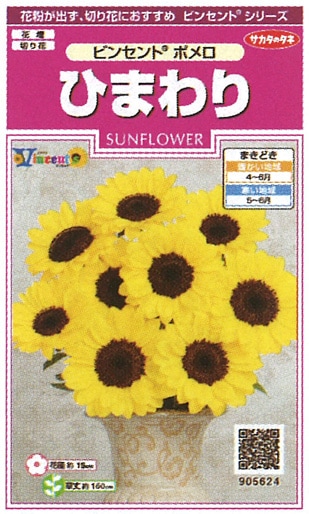 草花種子（小袋）,ひまわり | 小林種苗公式通販