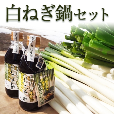 送料込み】厳しい寒さを乗り越え甘さのピークを迎えた白ネギ（長ネギ