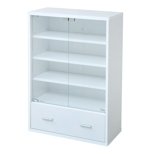 キャビネット スリム ガラス扉 本棚 ガラスキャビネット FR-050（商品