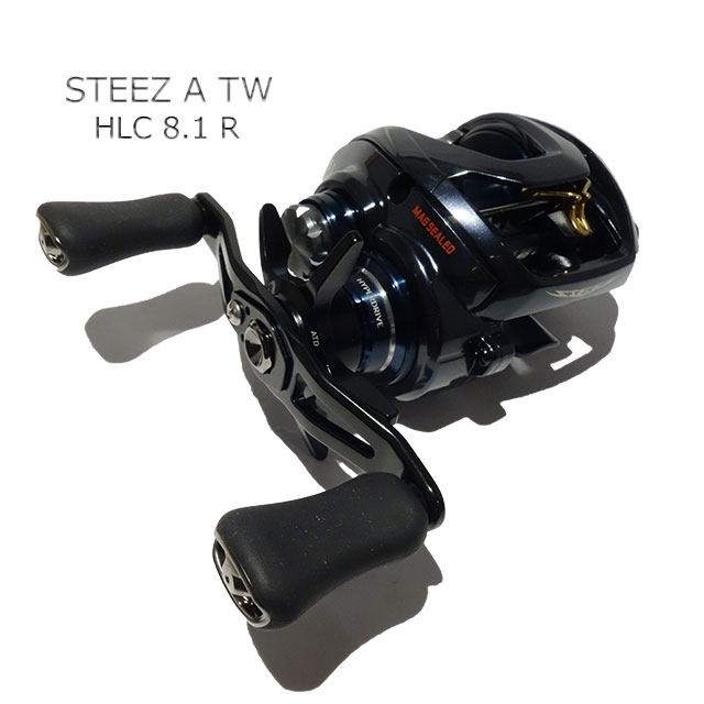 ダイワ スティーズ A TW HLC 8.1R | リールから探す,ベイトリール
