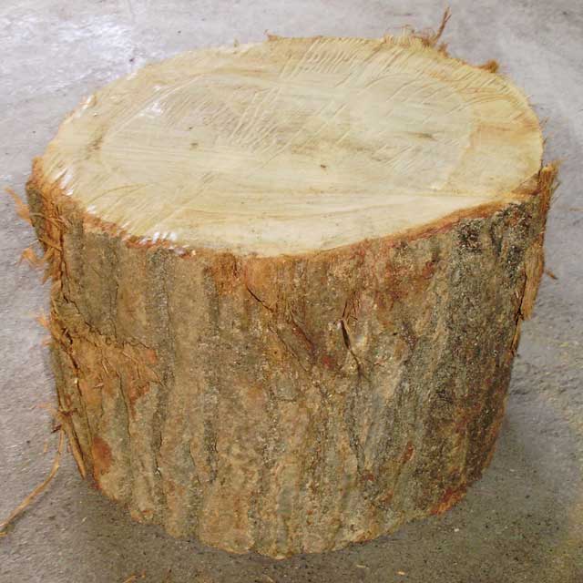 薪割り台 ナラ Φ30cm×高さ約25cm