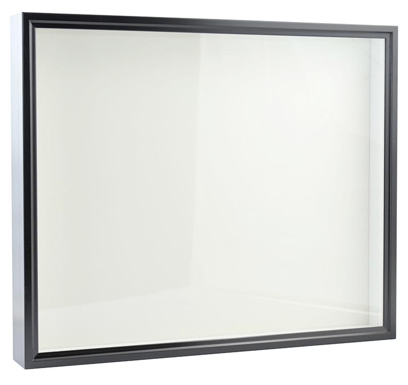 バードウィング製 ドイツ型標本箱 大型BW60UV 【黒】 | ドイツ型標本箱