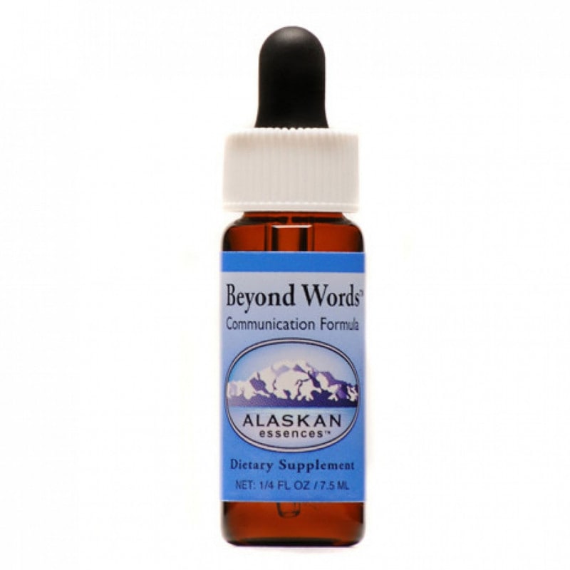 ピュリフィケーション[Purification](7.5ml) | ブランド一覧