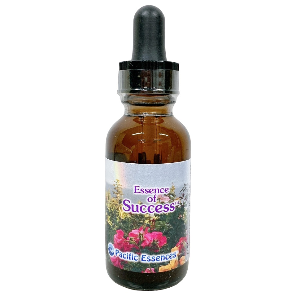 エッセンス オブ サクセス～成功のための秘訣 [Essence of Success