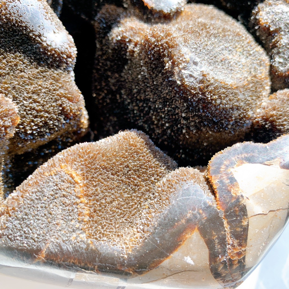 セプタリアン ハート型 特大 | ハート型 | Crystals by Purely