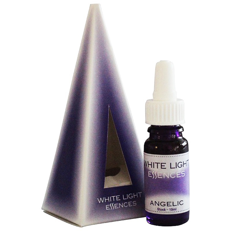 天使（アンジェリック）《オーストラリアンブッシュ