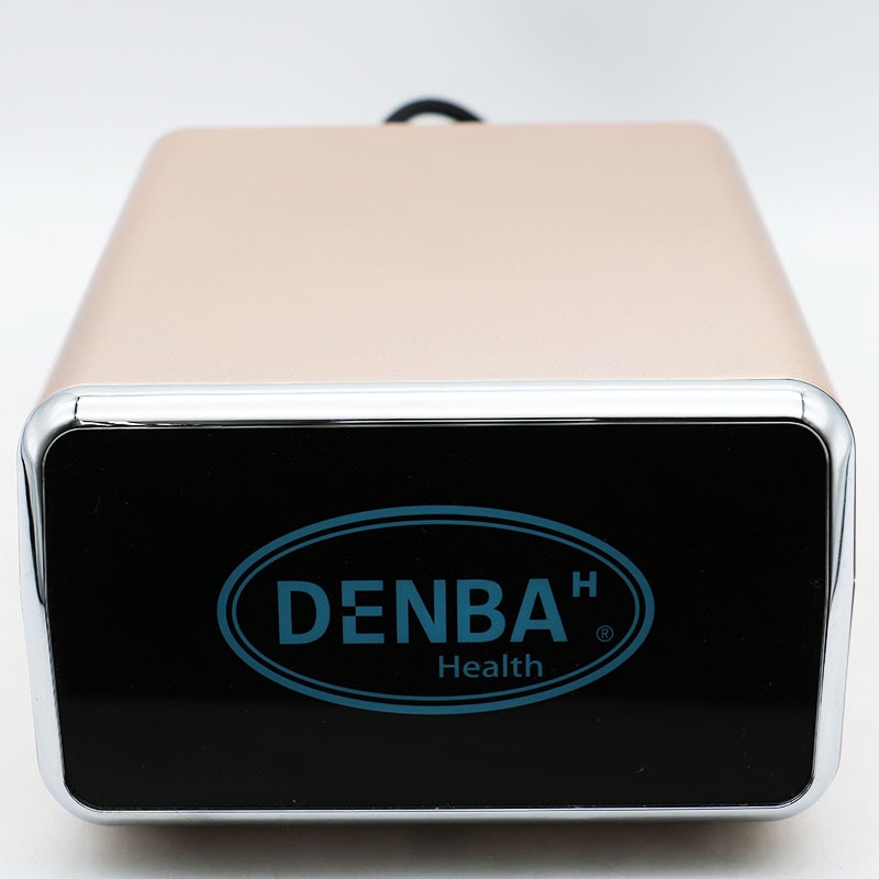 FUKUさん専用〈在庫処分、新品〉デンバヘルス スタンダード DENBA